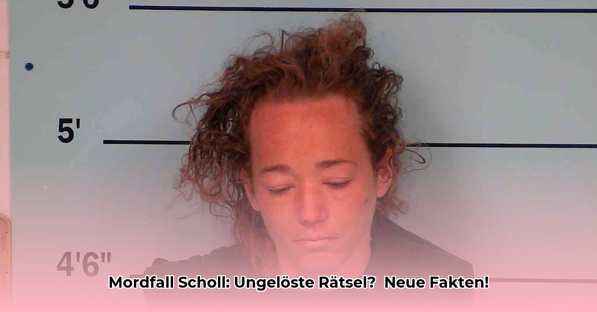 mordfall-brigitte-scholl